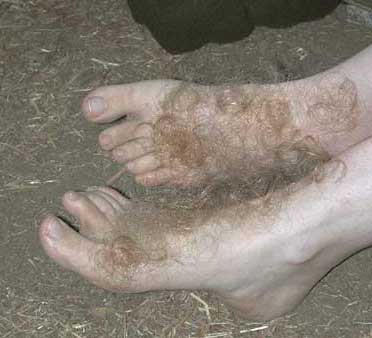 ariel grace recommends guys with hairy feet cate dyer add guys with hairy feet photo