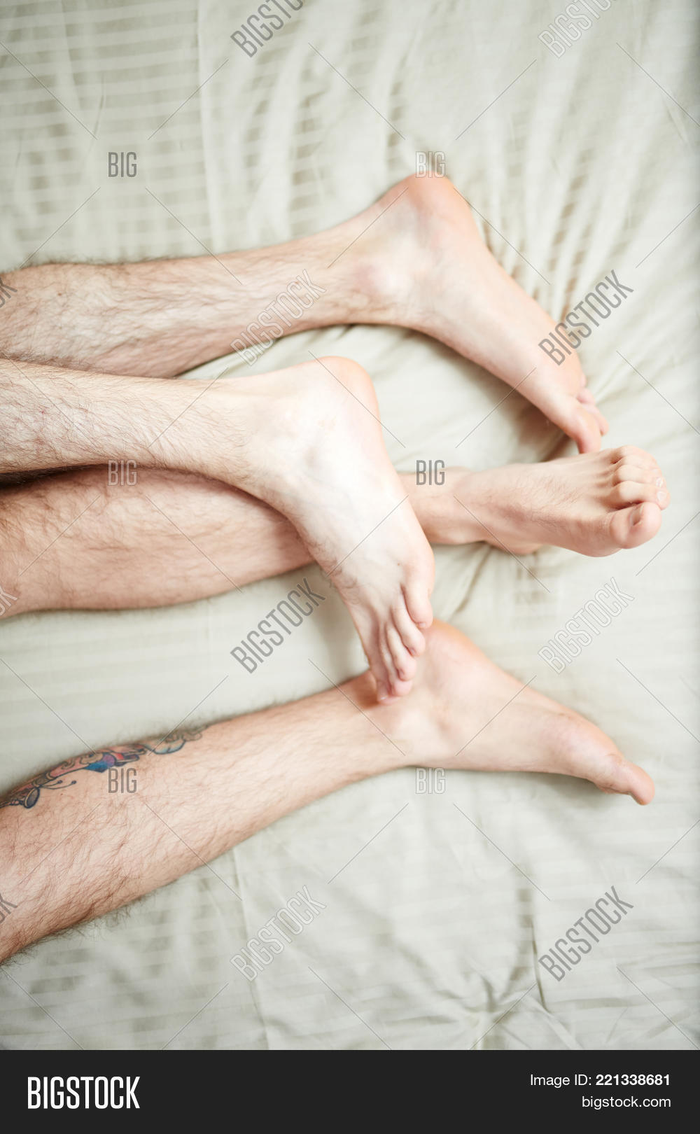 cheri ostroskie recommends guys with hairy feet andrew leggat add Wife is porn star photo