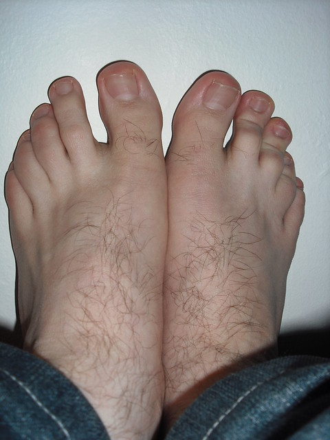 alex bencomo recommends guys with hairy feet donald gillett add guys with hairy feet photo
