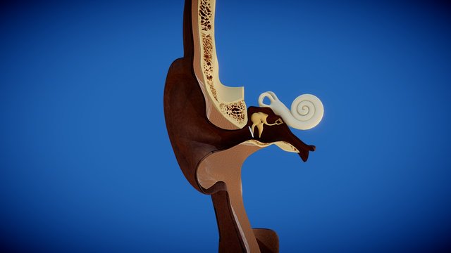 debbie knutsen recommends ickysticky 3d analyn ymas add ickysticky 3d image