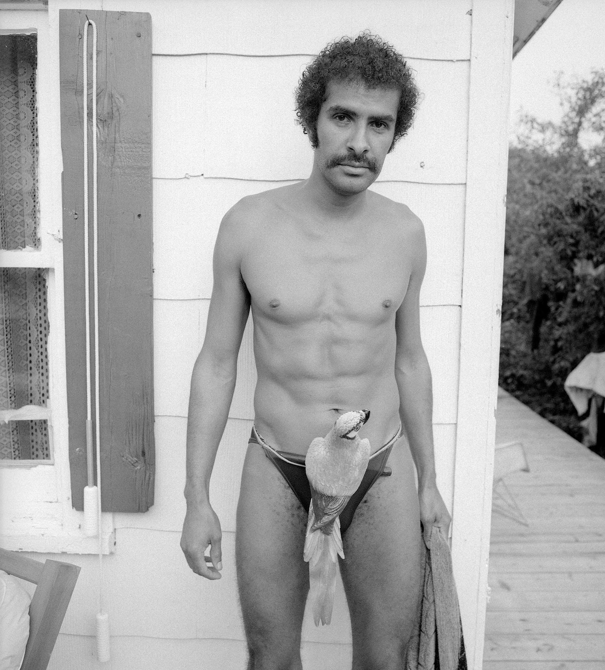 chester guerra recommends Candid milf beach brooke chapel add island men nude photo