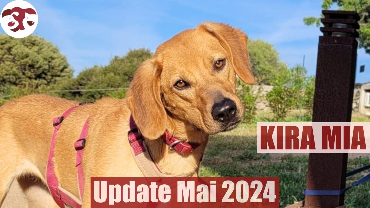 chelsea schultz add kira mia photo