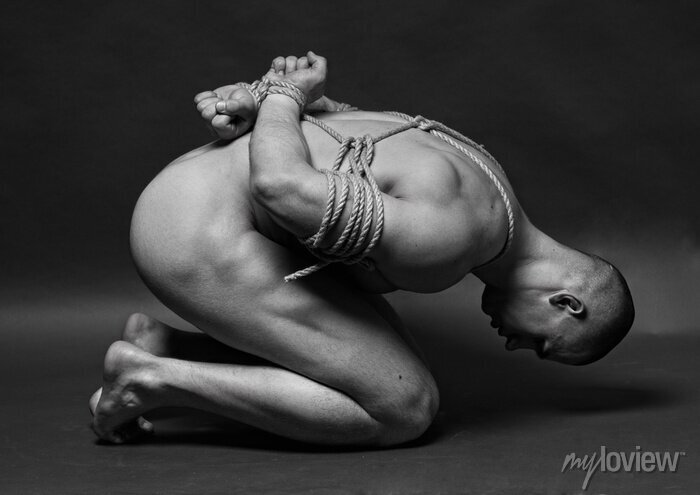 cathy cuadra add male bondage artwork photo
