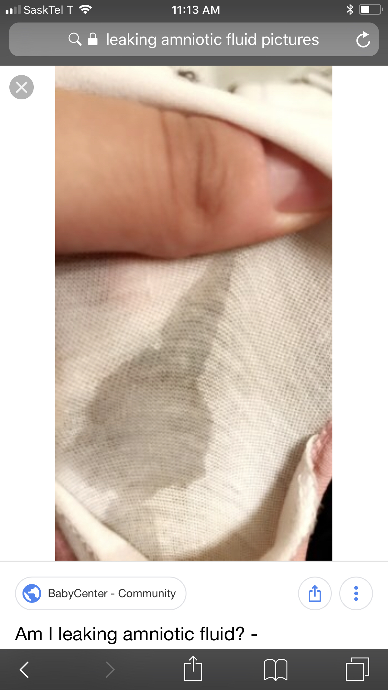 Megnutt2 Leaked sophia leone pee video viral indo