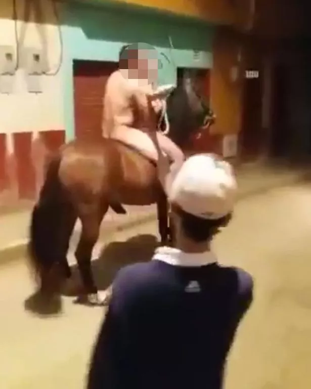 angela maza recommends naked horseback arman amini add naked horseback photo