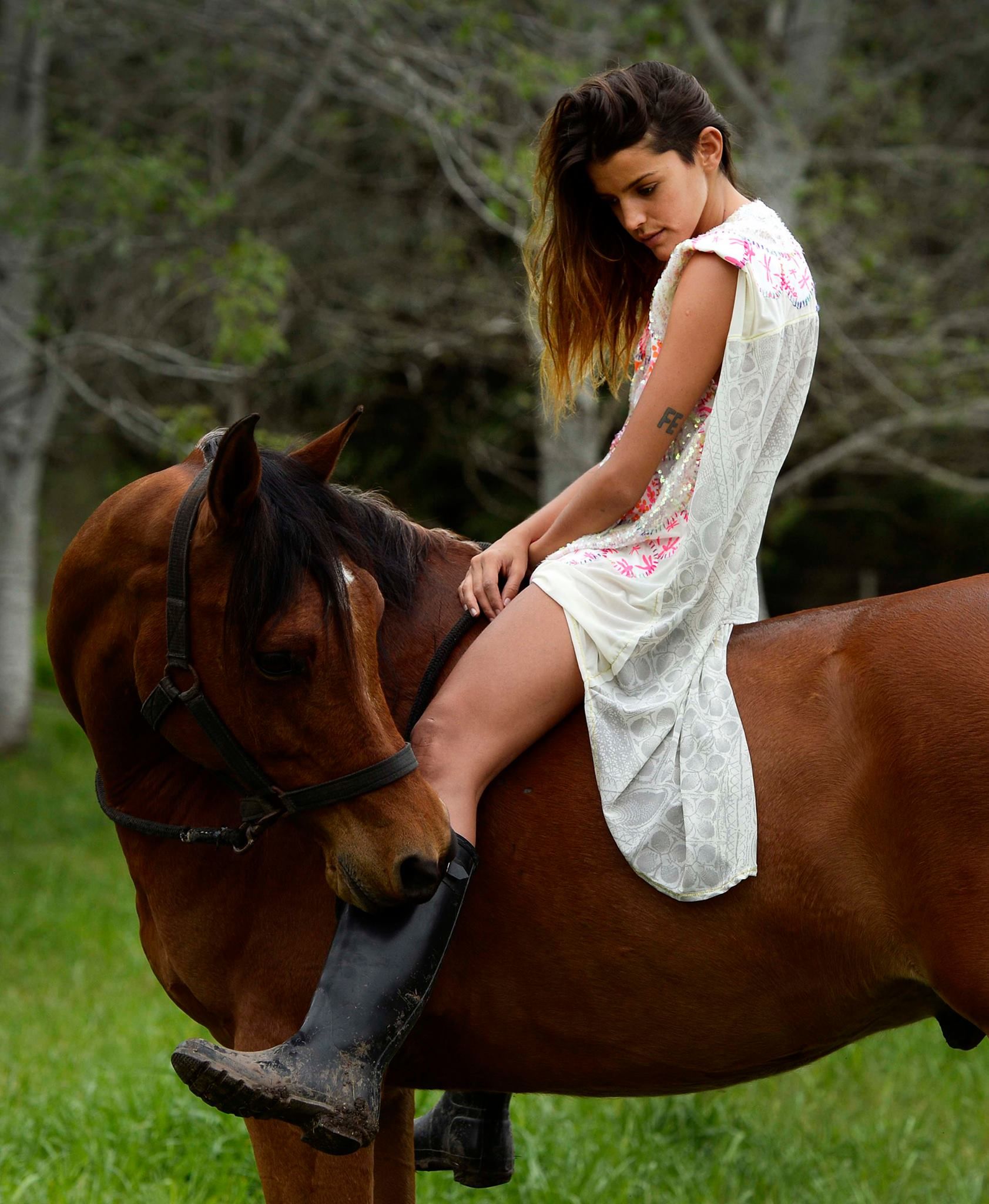 Nude Horseback rough face porn video intimo de domelipa