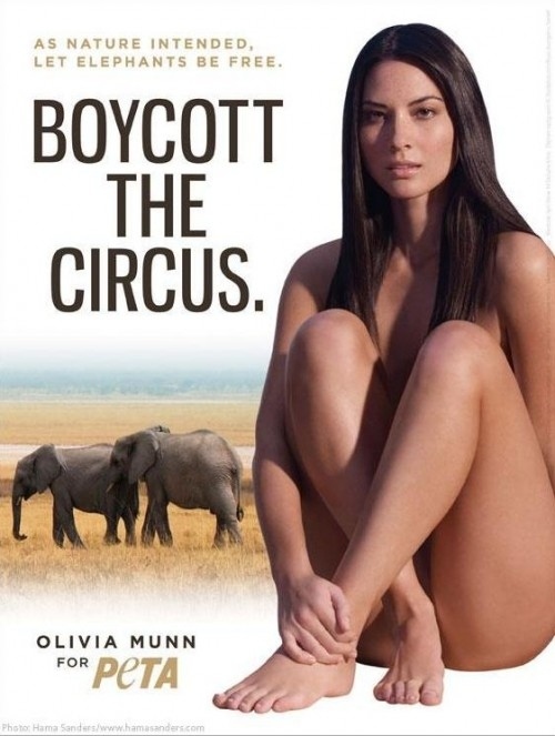 brent zettel recommends Hardcore models brittany saville add olivia munn nude photos photo