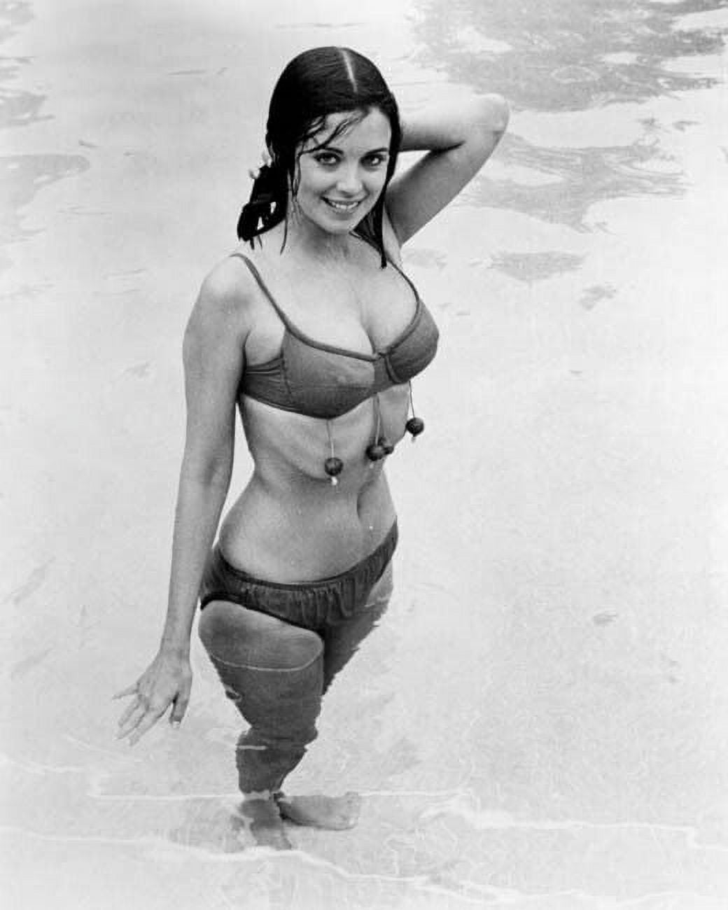 brandon silvia recommends priscilla barnes bikini amira becirovic add priscilla barnes bikini photo