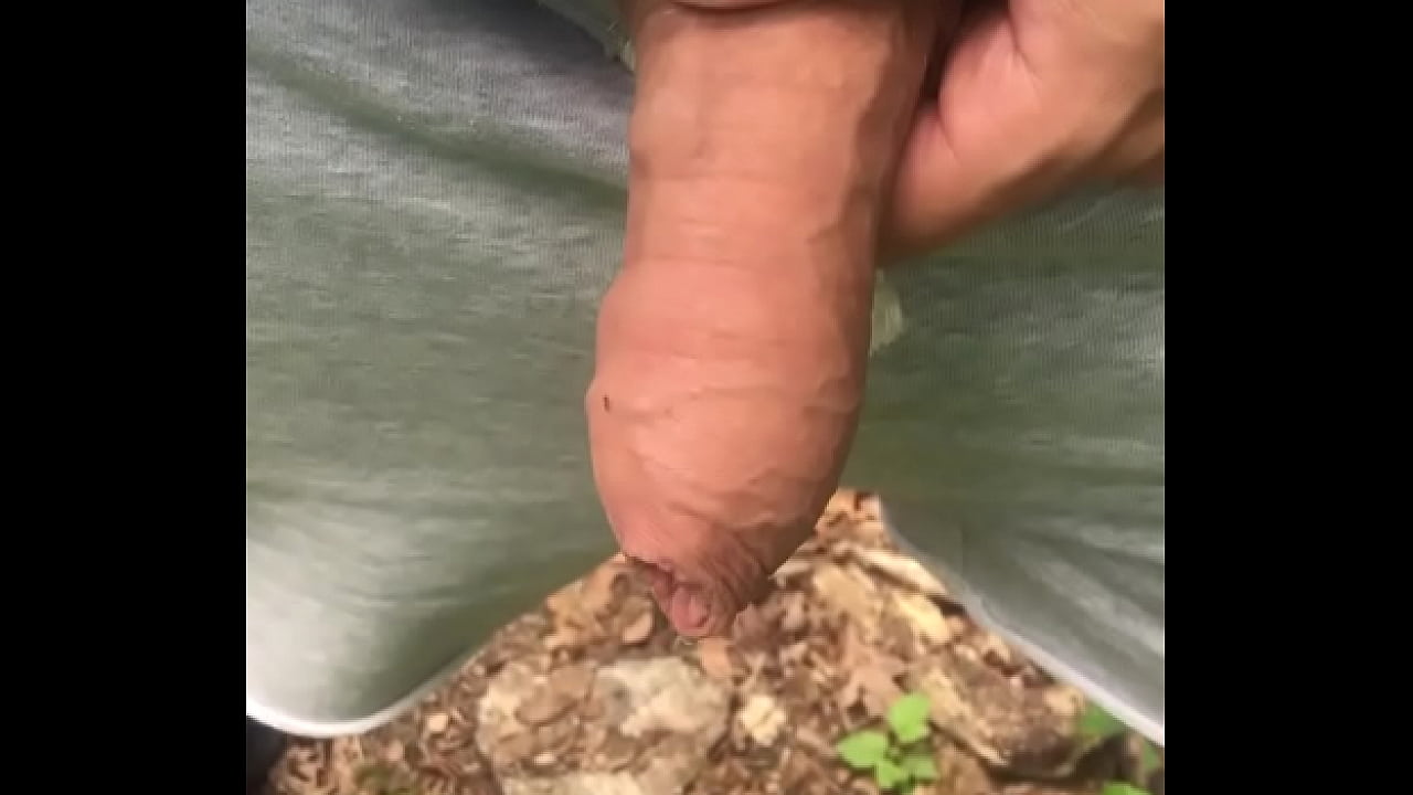 daniel weeda recommends Tribalbbc porn don amir add public penis photo