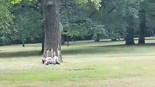 angelica boca recommends sexin the park anela smith add Blondie fesser full videos photo