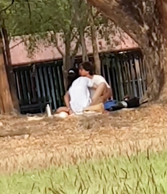 brenton piper recommends sexin the park derek braman add sexin the park image