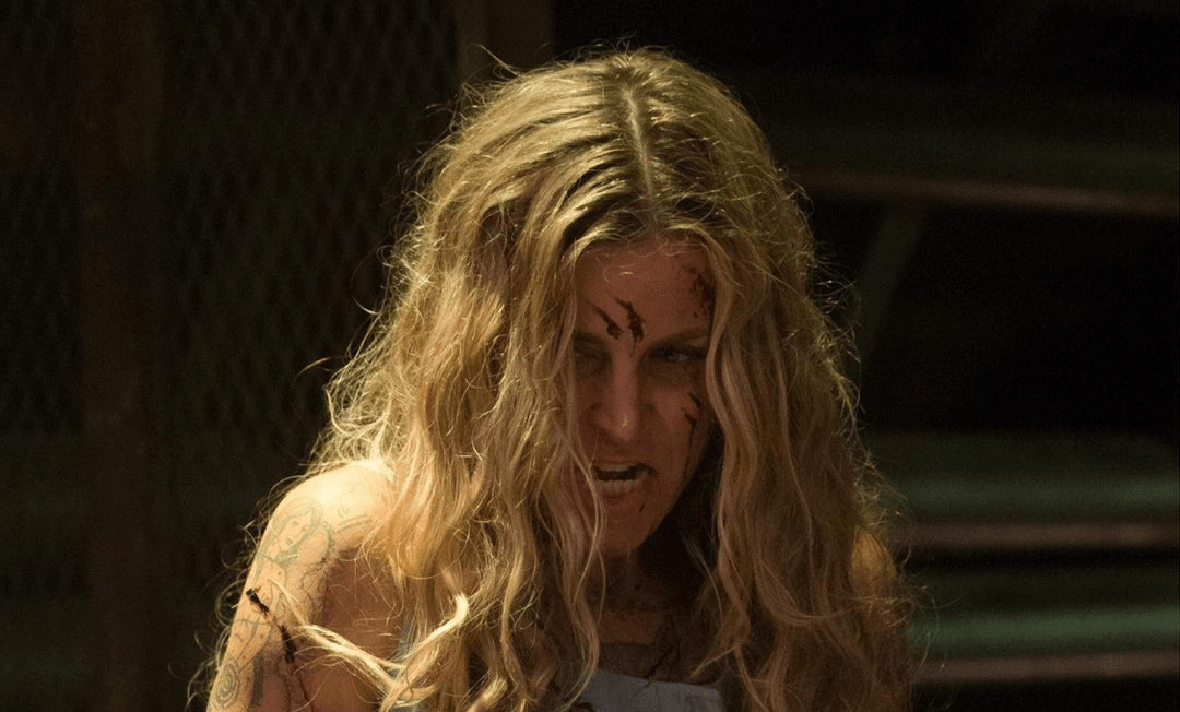 adam lukey recommends sheri moon zombie sexy dale choate add sheri moon zombie sexy photo