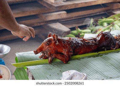 amanda castellon add spit roast amateur photo